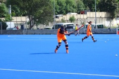 DSC01686-2025-05-10T18_41_13.278