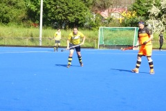 DSC01724-2025-05-10T18_46_07.608