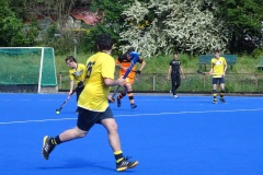 DSC01826-2025-05-10T19_00_32.852