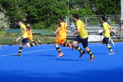 DSC01908-2025-05-10T19_45_35.876