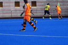 HCGB_HCPT50