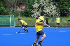 HCGB_HCPT99