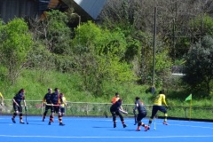 DSC09575-2025-03-30T17_02_44.288