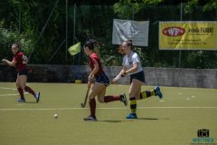 DSCF6770