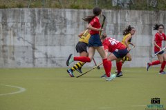 DSCF7186