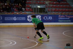 DSCF1387