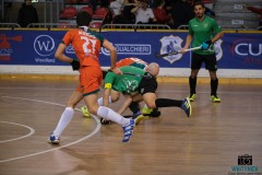 DSCF1411