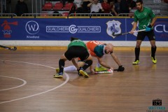 DSCF1413