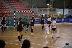 DSCF1550