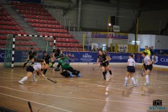 DSCF1553