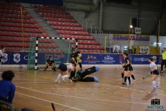DSCF1554