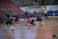 DSCF2231