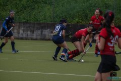 DSCF4517