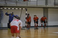 DSCF8520