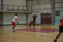 DSCF8528
