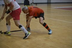 DSCF8529